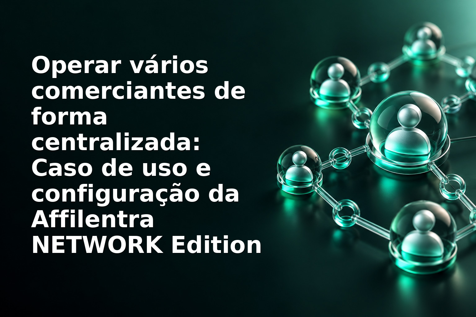 Operar vários comerciantes de forma centralizada: Caso de uso e configuração da Affilentra NETWORK Edition