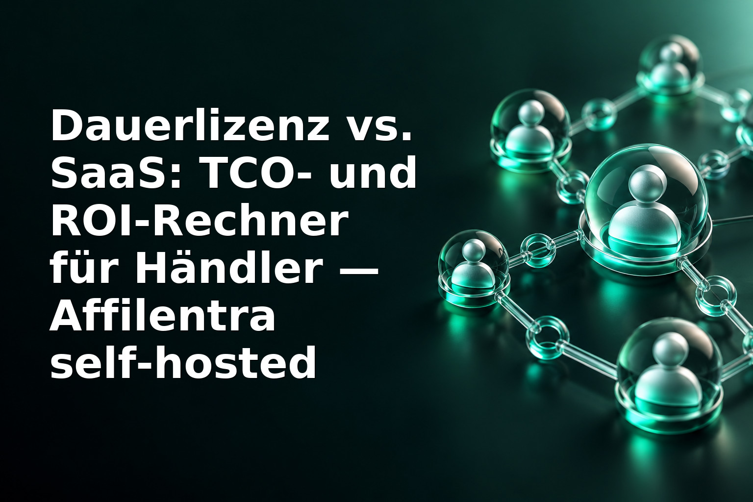 Dauerlizenz vs. SaaS: TCO‑ und ROI‑Rechner für Händler — Affilentra self‑hosted