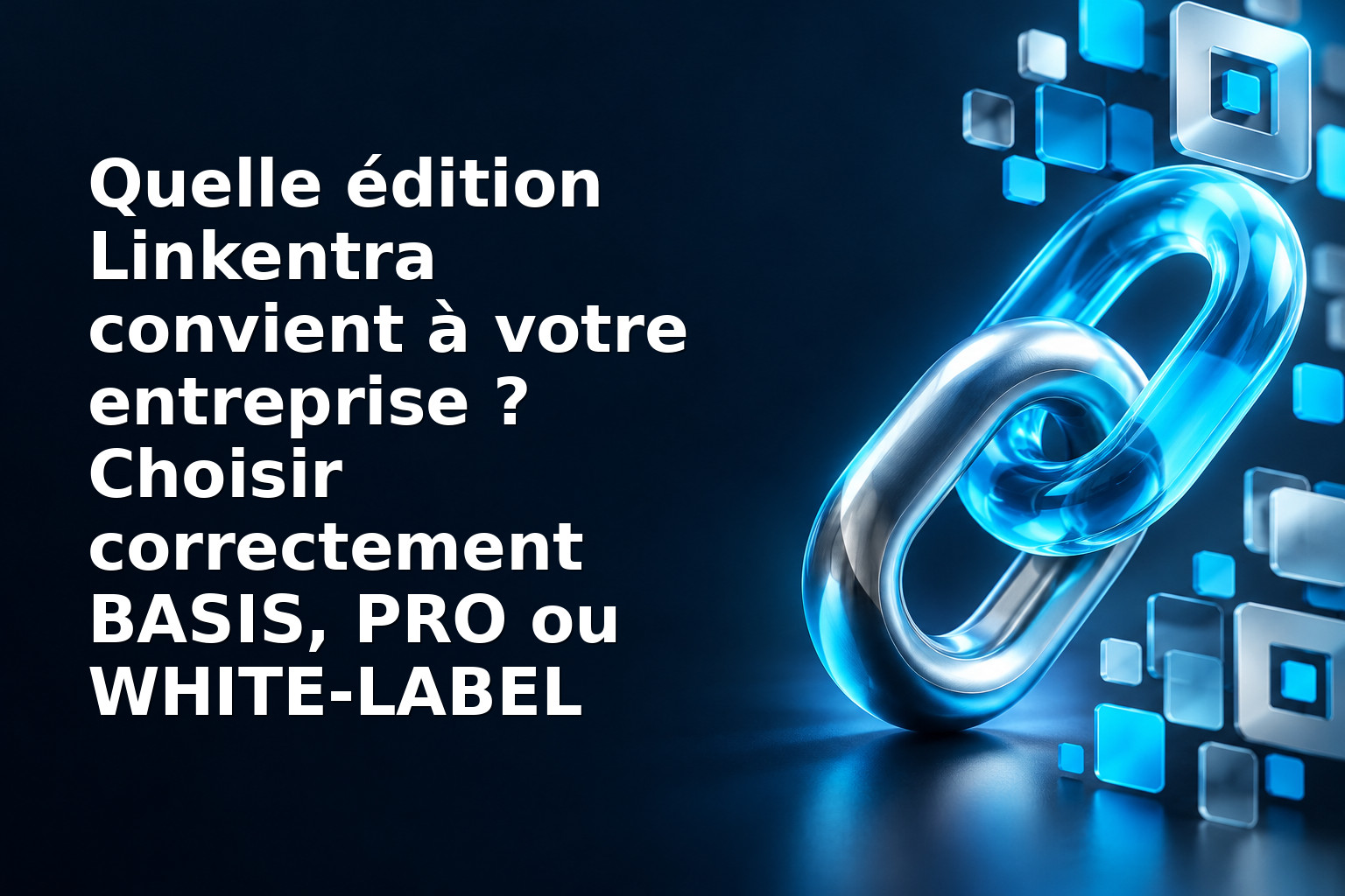 Quelle édition Linkentra convient à votre entreprise ? Choisir correctement BASIS, PRO ou WHITE‑LABEL