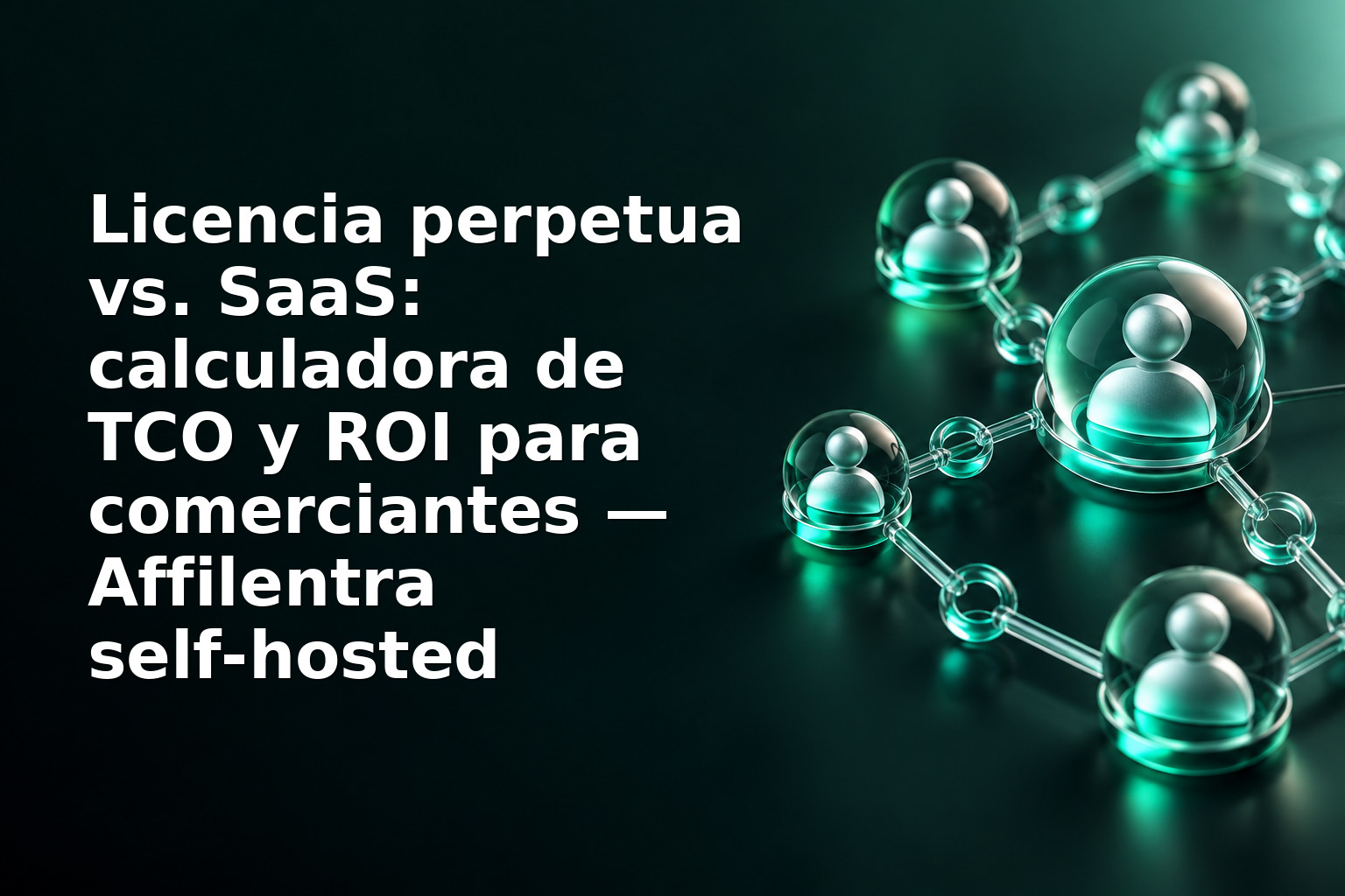 Licencia perpetua vs. SaaS: calculadora de TCO y ROI para comerciantes — Affilentra self‑hosted
