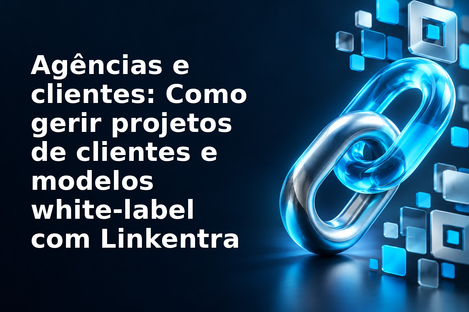Agências e clientes: Como gerir projetos de clientes e modelos white‑label com Linkentra