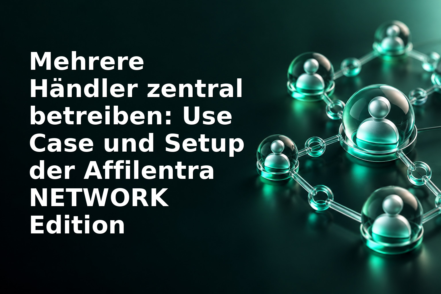 Mehrere Händler zentral betreiben: Use Case und Setup der Affilentra NETWORK Edition
