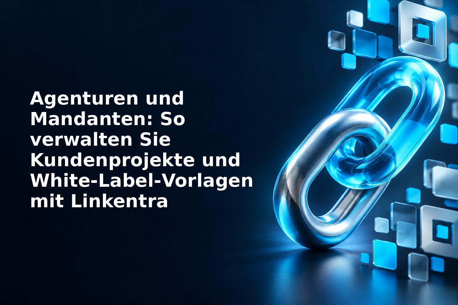 Agenturen und Mandanten: So verwalten Sie Kundenprojekte und White‑Label‑Vorlagen mit Linkentra