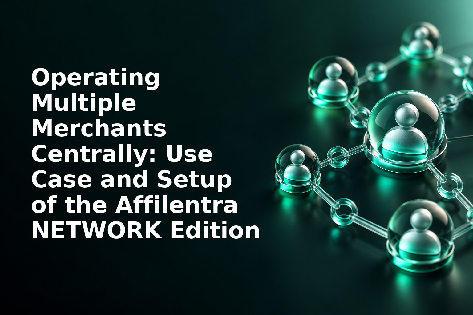 Operating Multiple Merchants Centrally: Use Case and Setup of the Affilentra NETWORK Edition