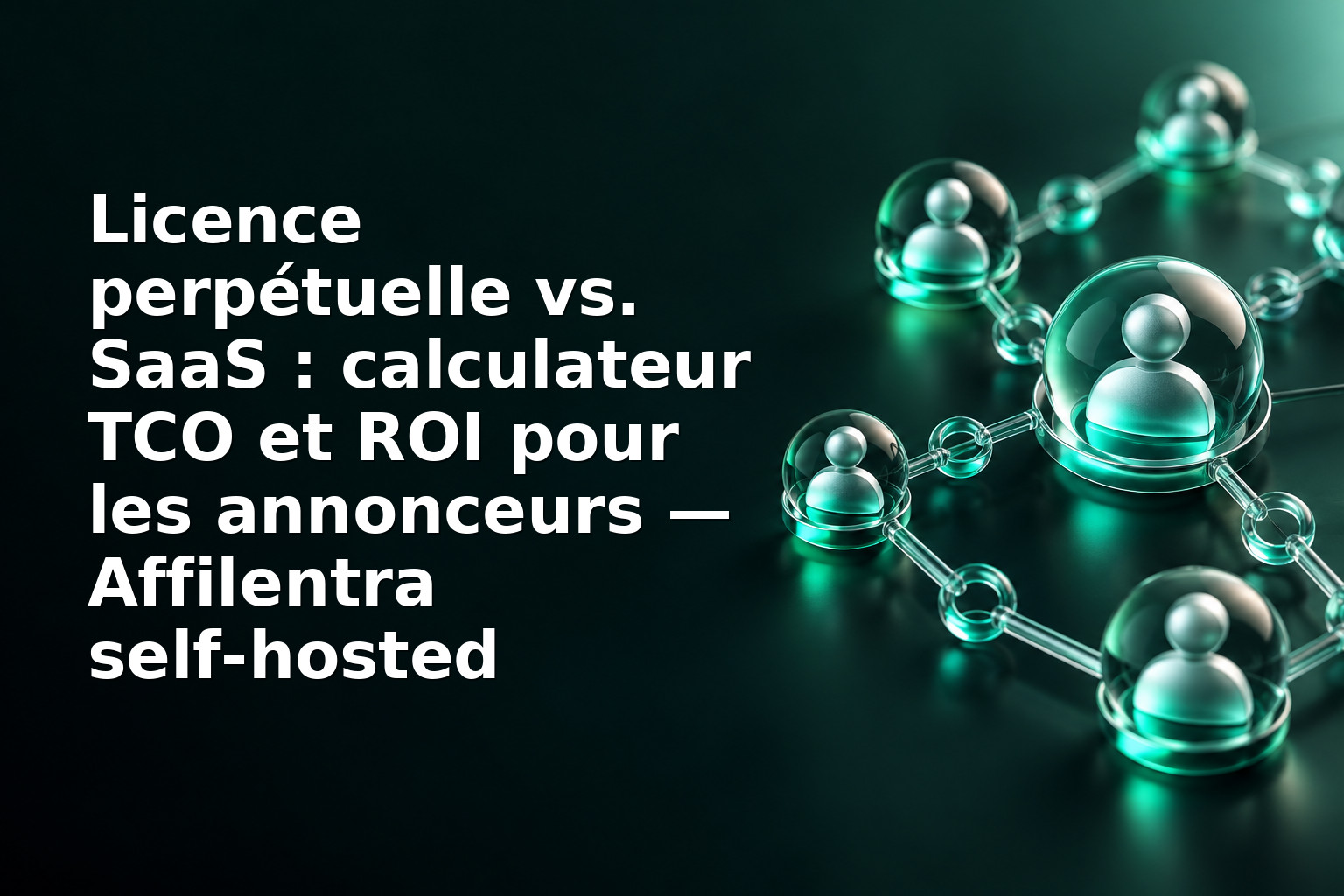 Licence perpétuelle vs. SaaS : calculateur TCO et ROI pour les annonceurs — Affilentra self‑hosted