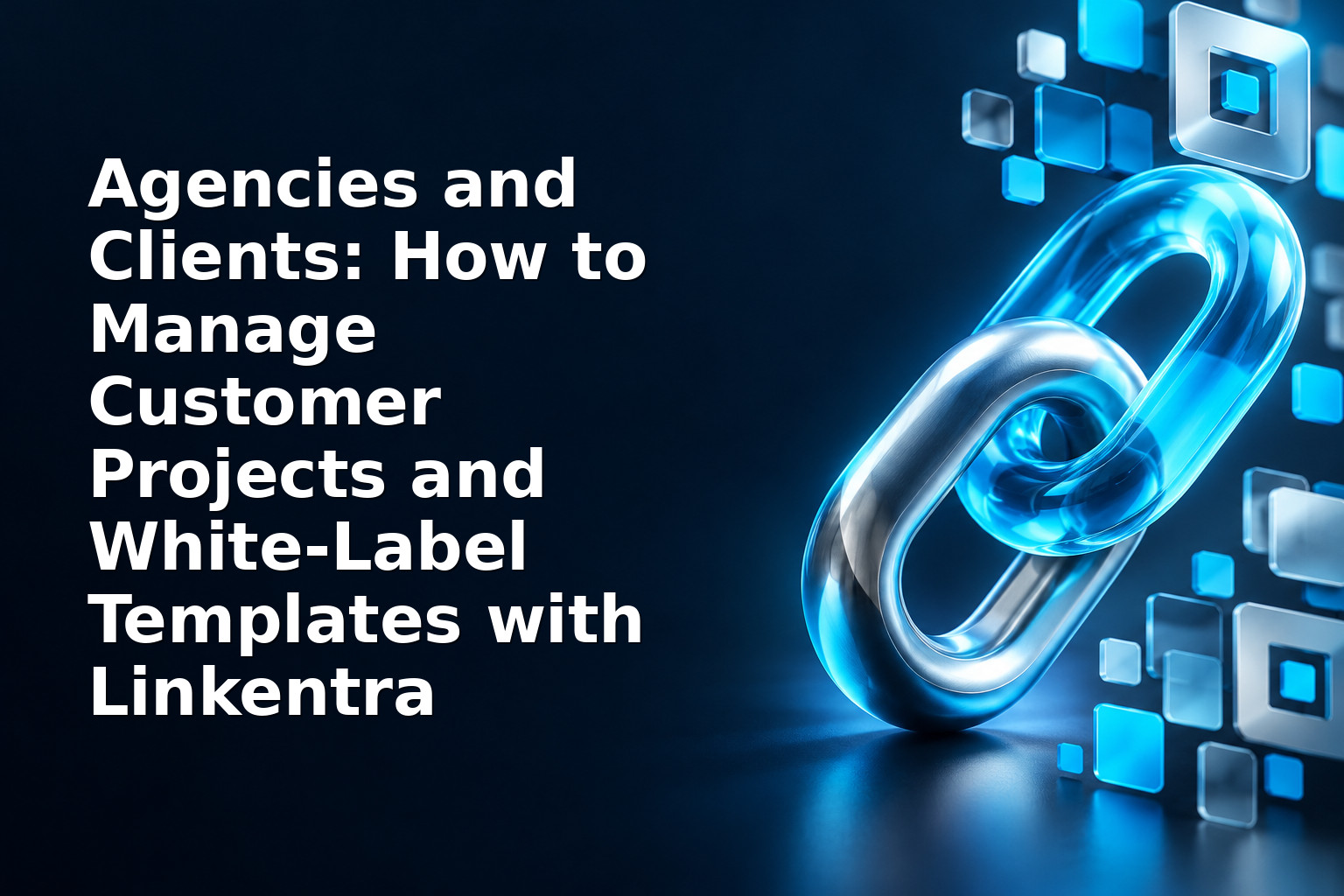 Agencies and Clients: How to Manage Customer Projects and White-Label Templates with Linkentra