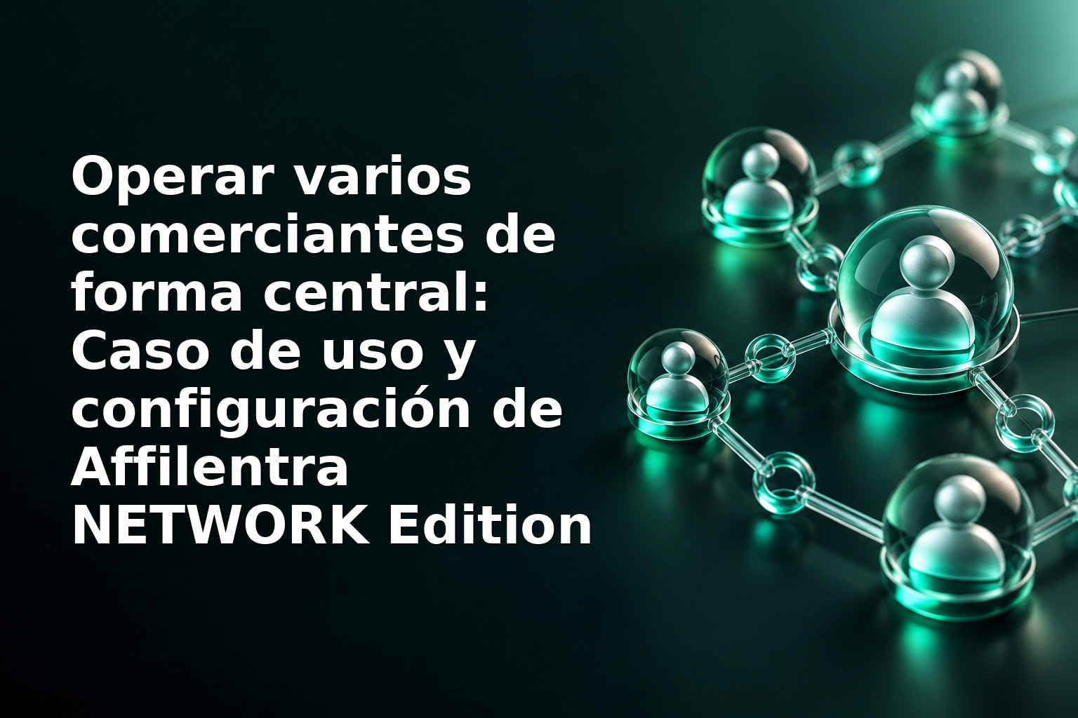 Operar varios comerciantes de forma central: Caso de uso y configuración de Affilentra NETWORK Edition